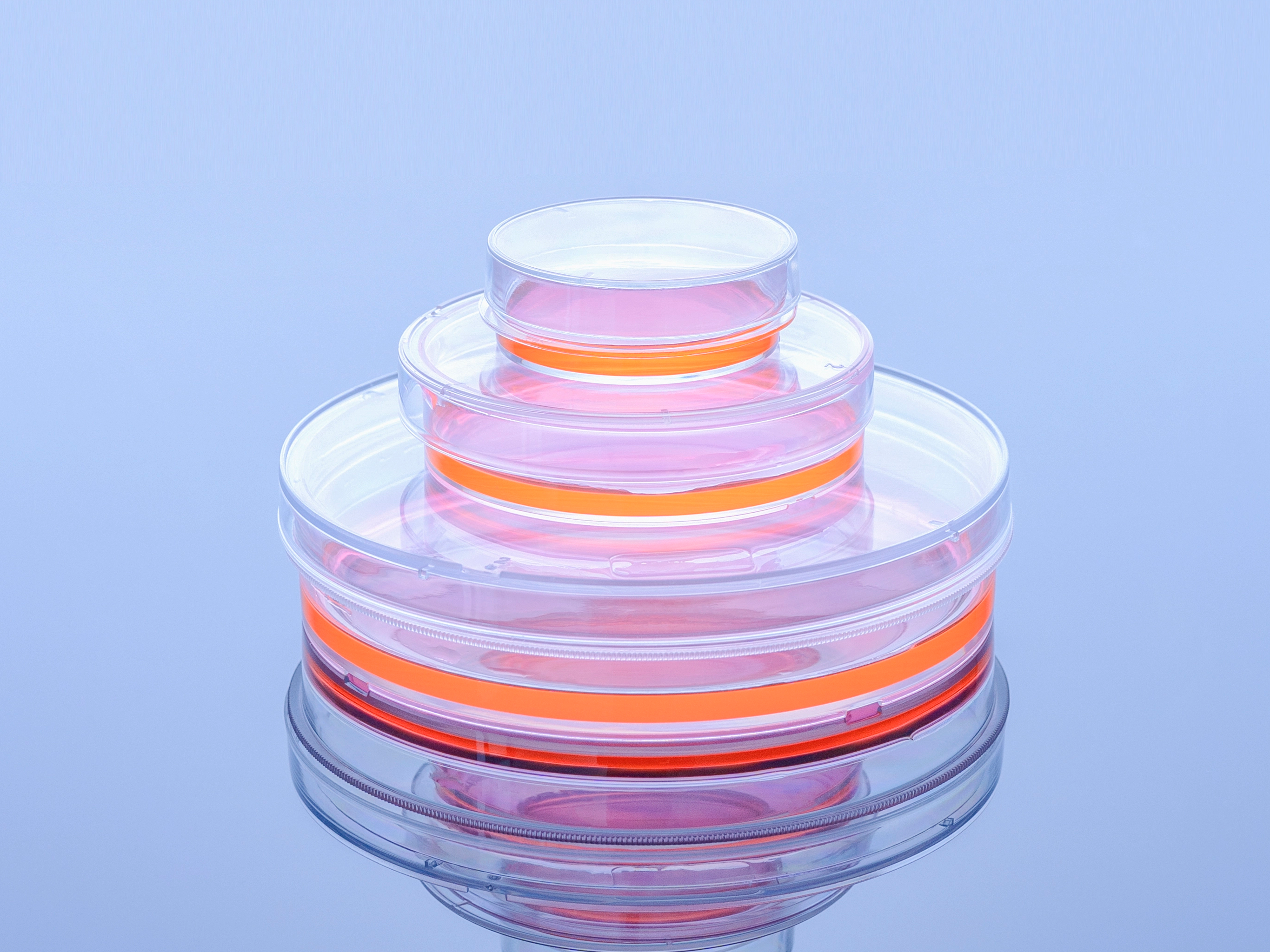产品推荐 | 细胞培养工具 ——细胞培养皿