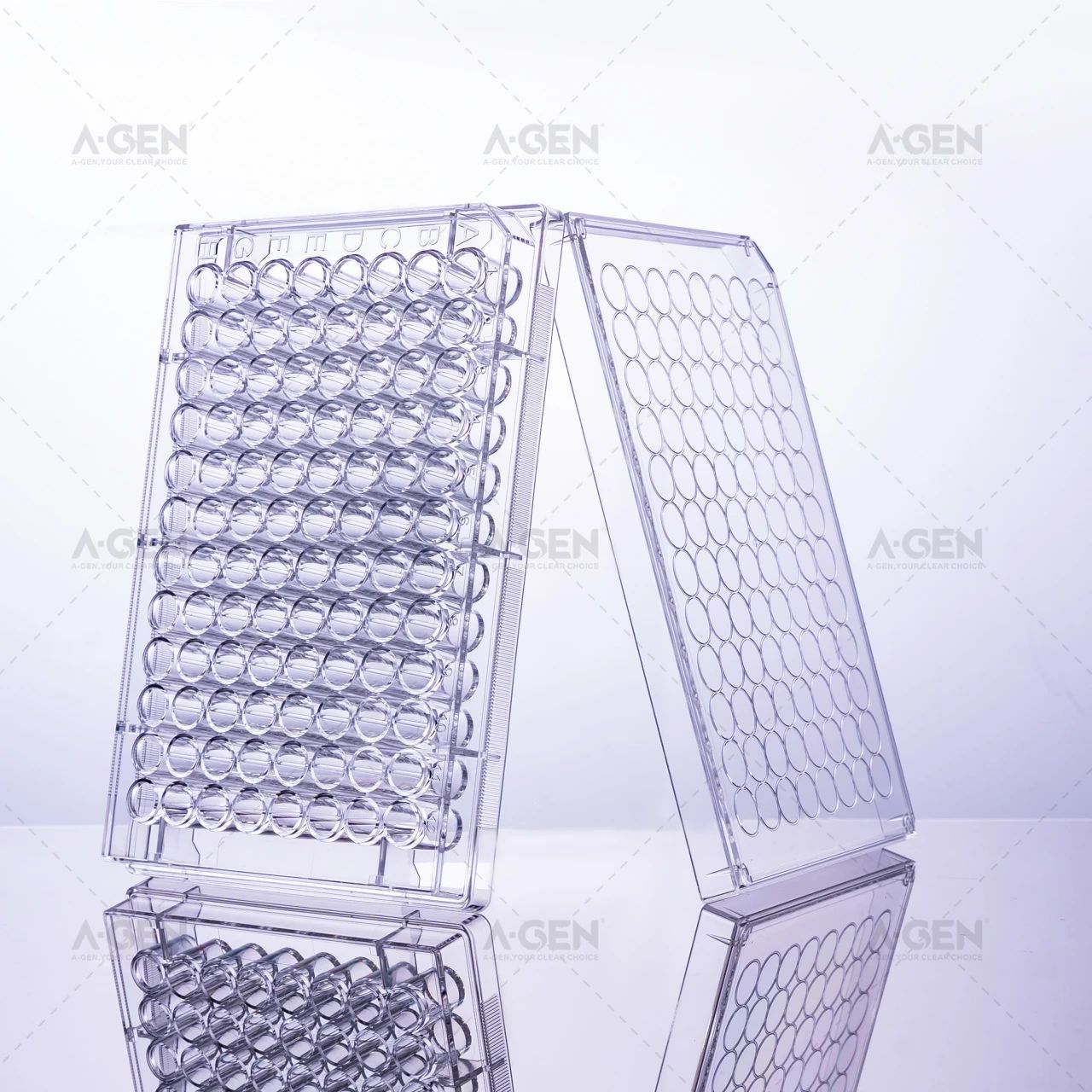 微信圖片_20250630141329