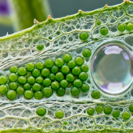 微信圖片_2025-11-03_142910_821