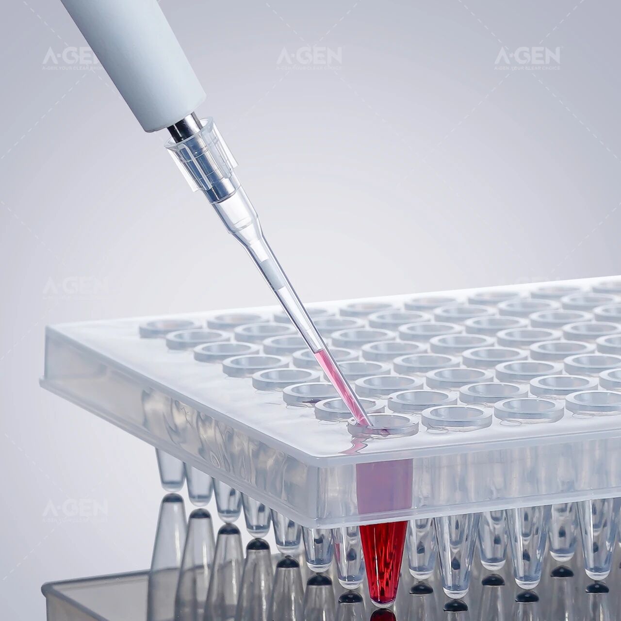 微信圖片_2025-11-03_142929_493