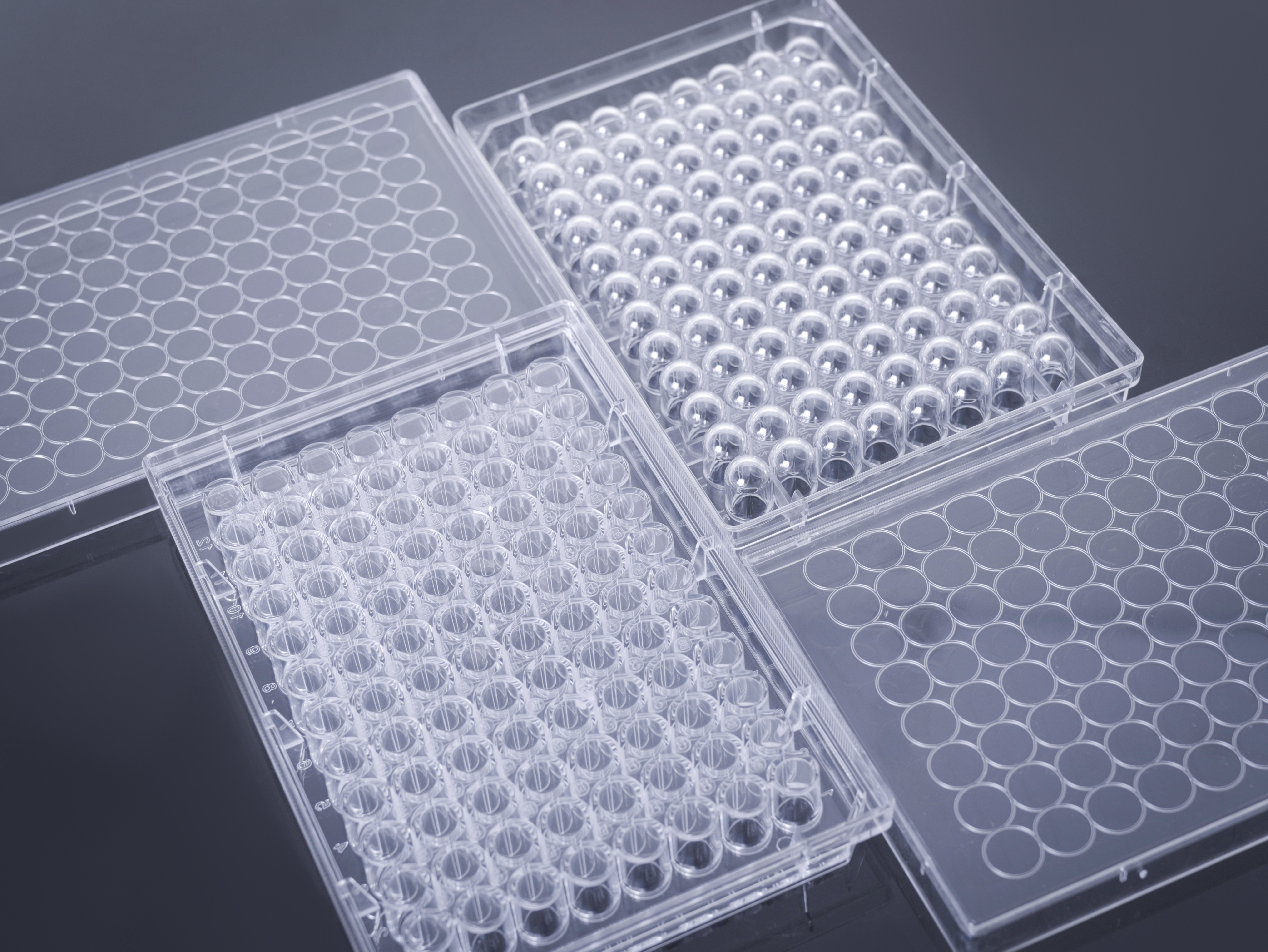 96孔 u和p對比圖