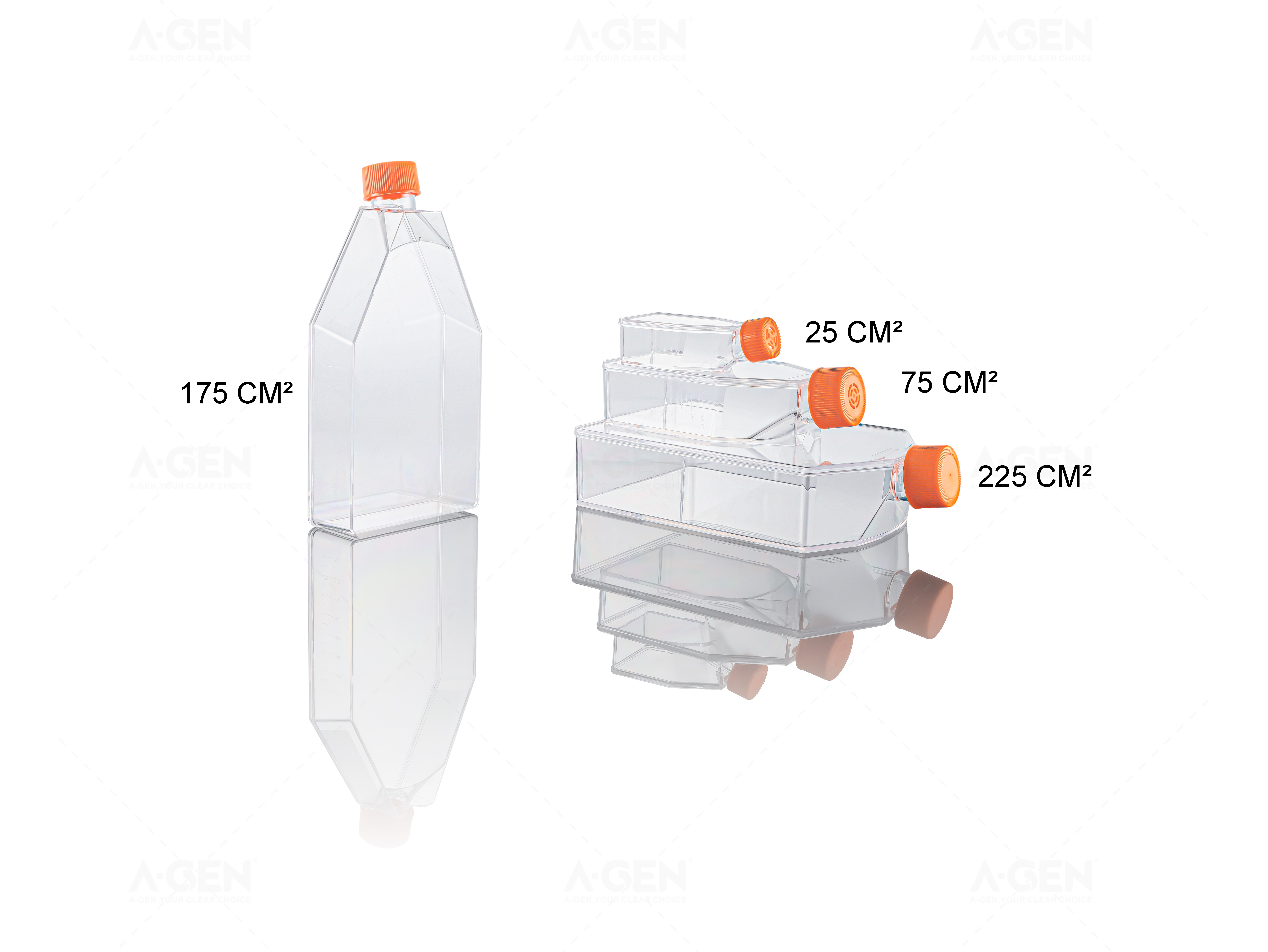 細(xì)胞培養(yǎng)瓶-藍(lán)2