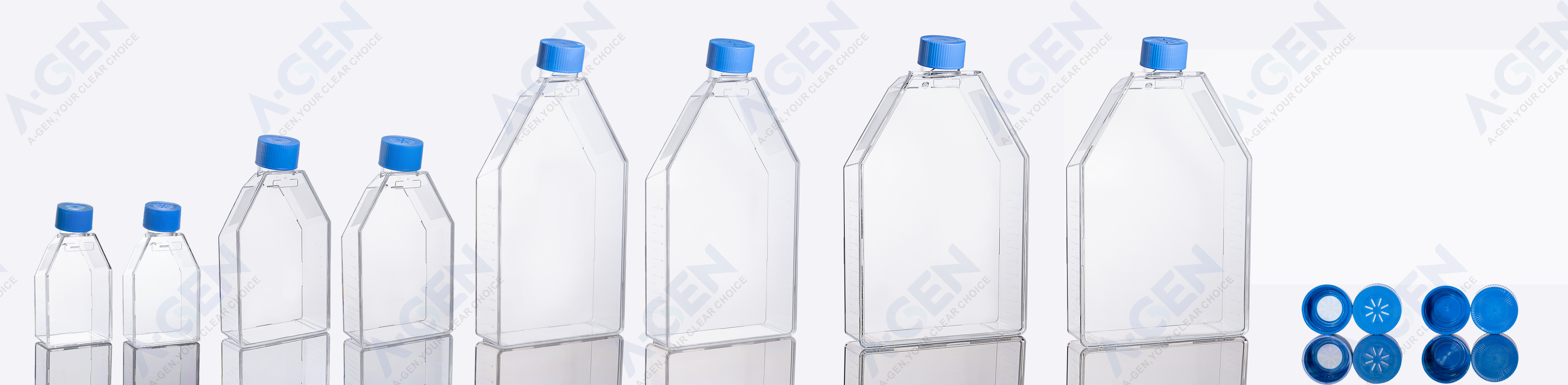 藍(lán)色蓋子細(xì)胞培養(yǎng)瓶組合有水印