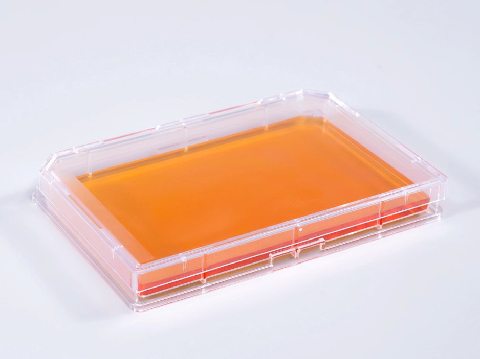 新品上市｜单孔培养板助力细胞细菌自动化定位！