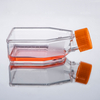  25 Cm² 未处理无菌细胞培养瓶，带密封盖或透气盖（TC 处理可选）