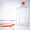 225 Cm² 未处理无菌细胞培养瓶，带密封盖或透气盖（TC 处理可选）