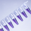 PCR-02-8 200μL 透明非无菌 0.2mL PCR连盖八连管