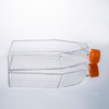  175 Cm² 未处理无菌细胞培养瓶，带密封盖或透气盖（TC 处理可选）
