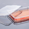 细胞培养透明板单孔细胞培养板平底未处理无菌带透明盖