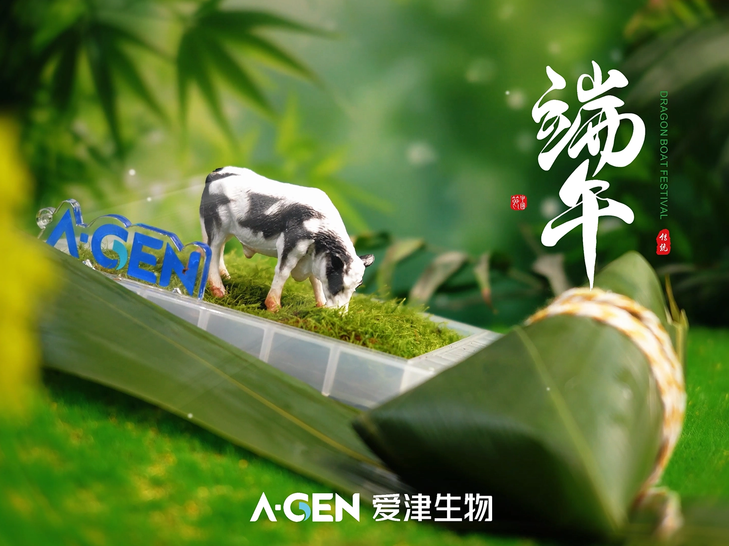 端午伴您科研顺 甜咸同享共前行