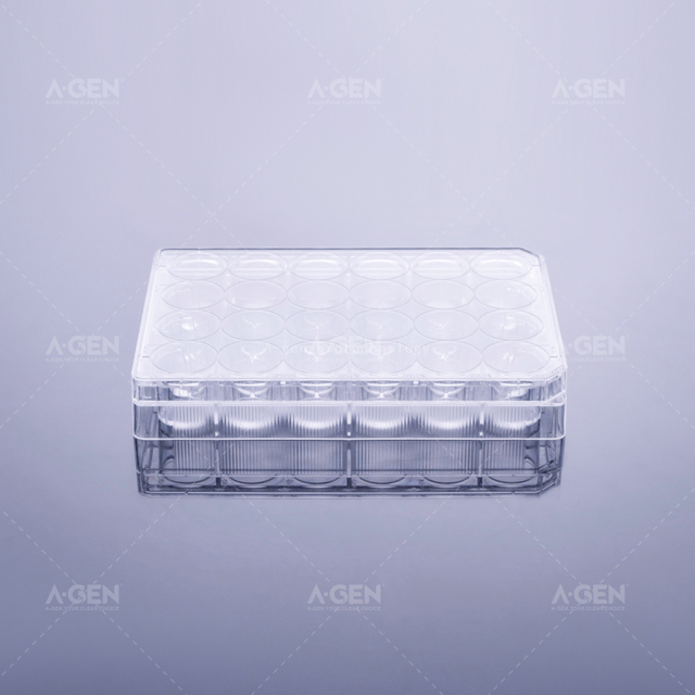 24孔透明板，透明盖，TC处理无菌，吸塑盒装