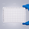 100μL白框透明管全裙边96 PCR板 