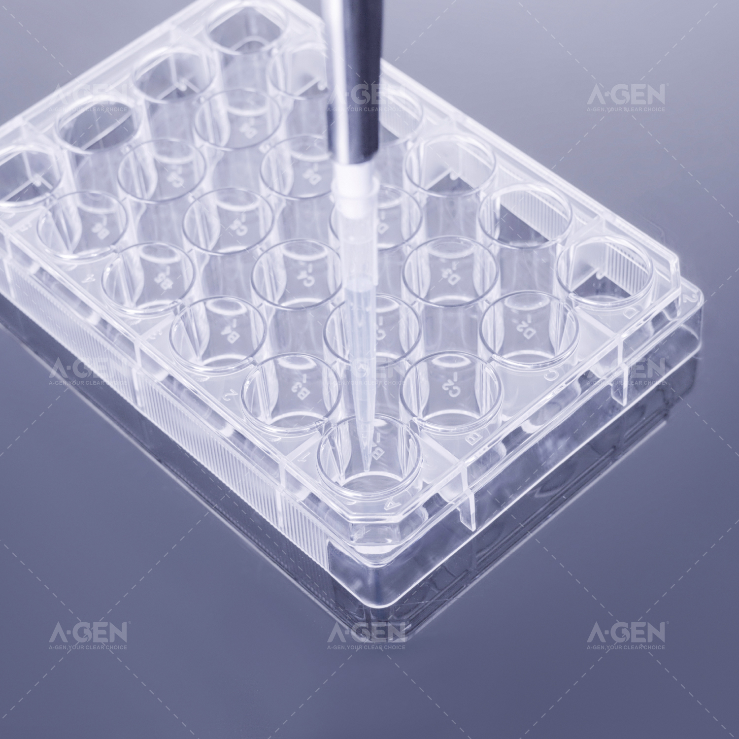 细胞培养透明板 透明盖 TC 处理 灭菌吸塑盒可供选择（6 孔、12 孔、24 孔、48 孔）