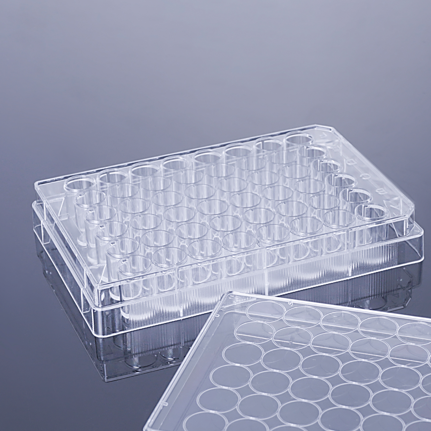 细胞培养透明板 透明盖 TC 处理 灭菌吸塑盒可供选择（6 孔、12 孔、24 孔、48 孔）