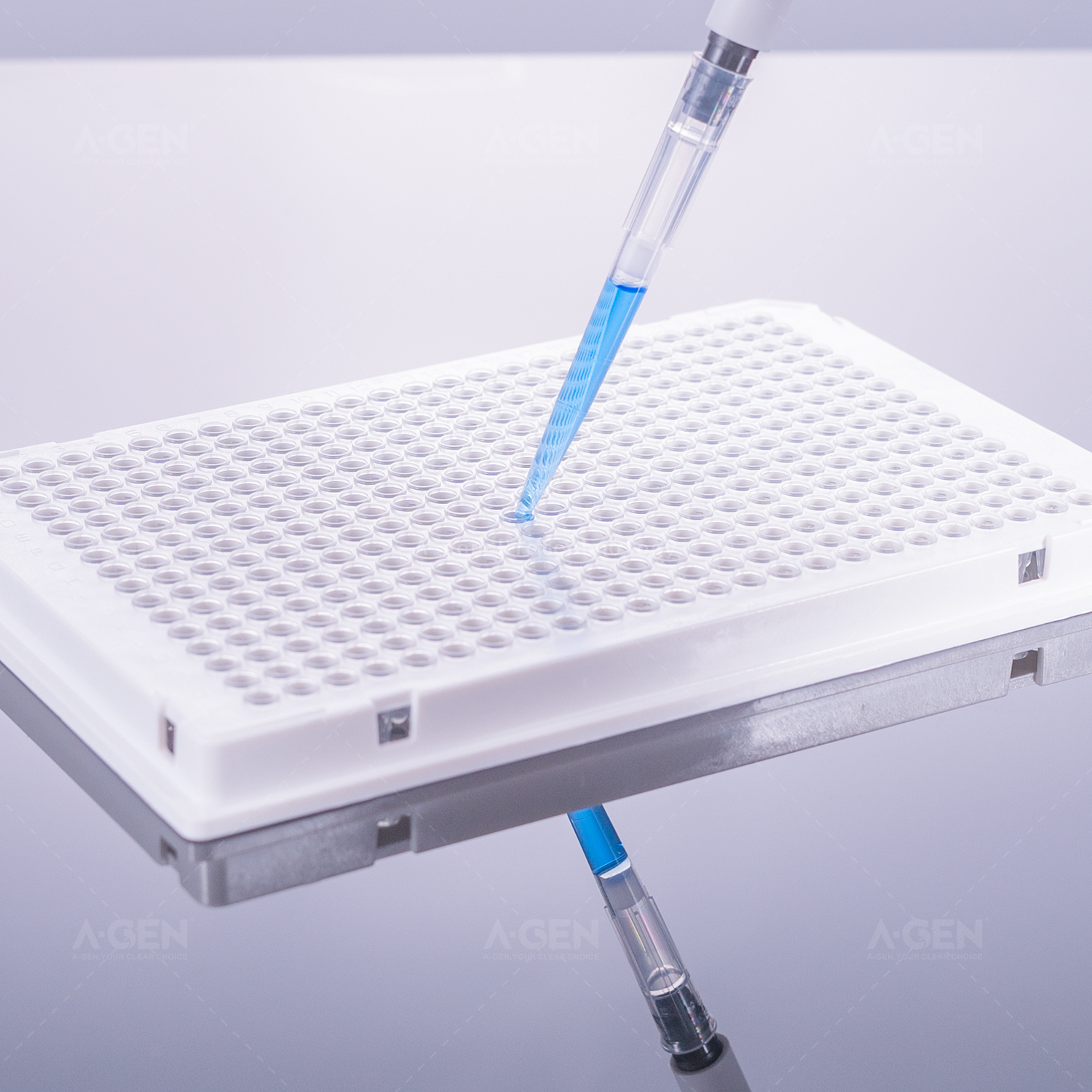 40μL，384孔PCR板，单角切，标记清晰，白框+透明管